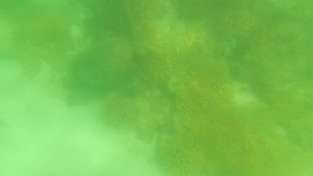 Underwater coral shapes continue across green water.
