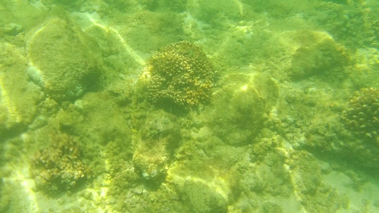 Underwater view in Cabo Pulmo showing rounded rocks, sandy gaps, small coral clusters, green water, and no visible people at the start of the clip.