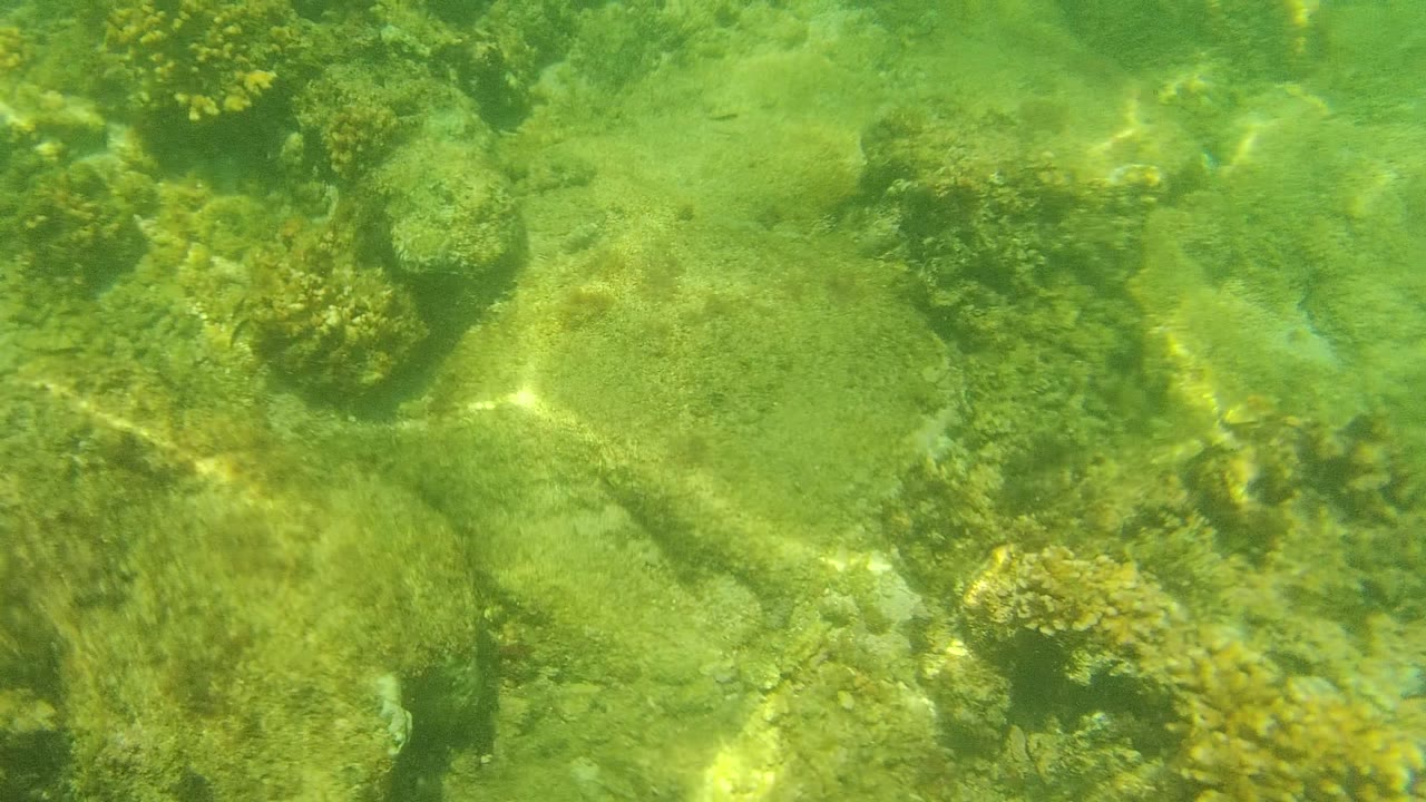 Top-down underwater view of coral heads, rocks, and sandy seabed under clear green water in Cabo Pulmo, Mexico, with no visible people.