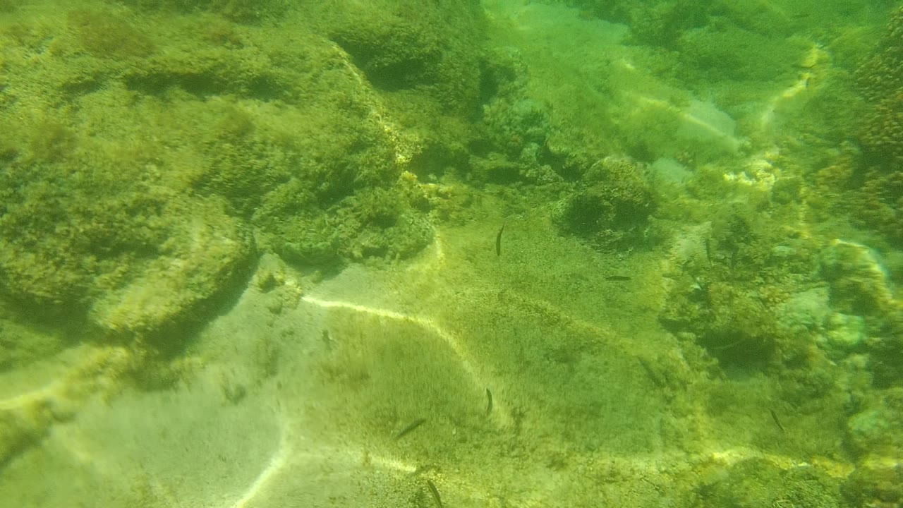 Opening underwater view of the Cabo Pulmo seabed with scattered coral, rocky patches, pale sand, green water, and no visible people.