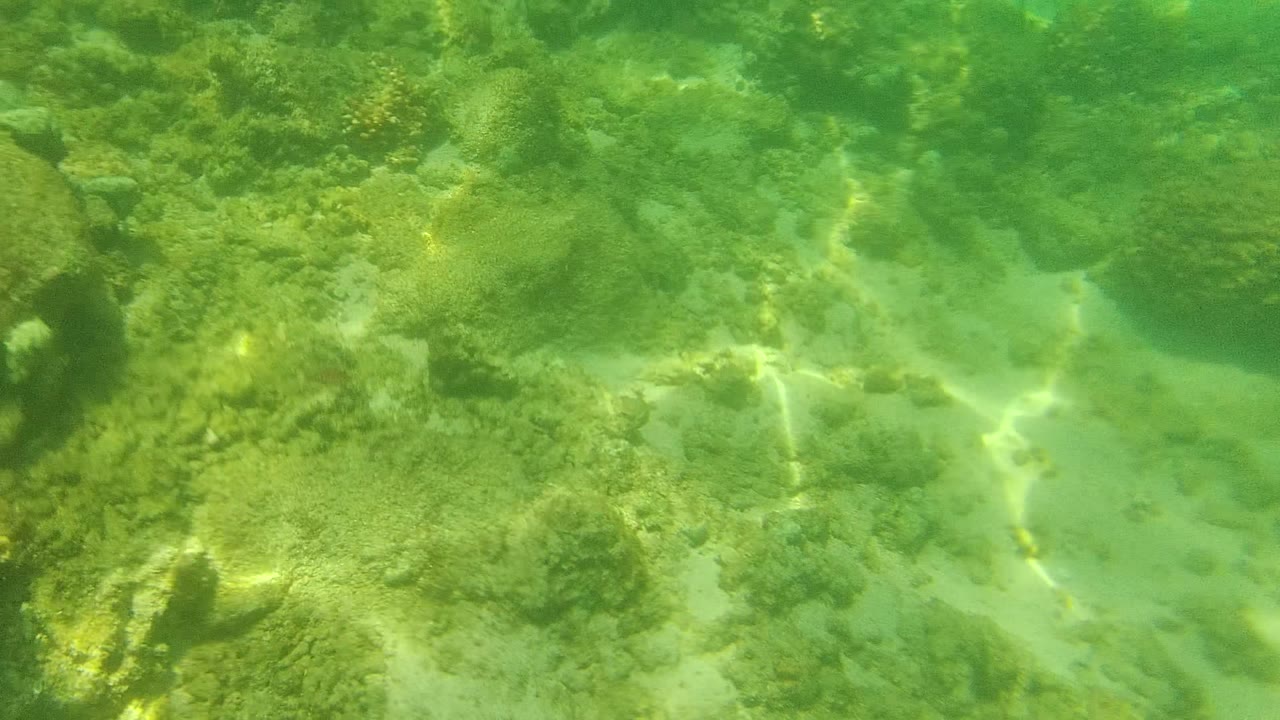 Start of the Cabo Pulmo underwater clip showing green water over coral heads, rocks, and sandy seabed, with no visible people.