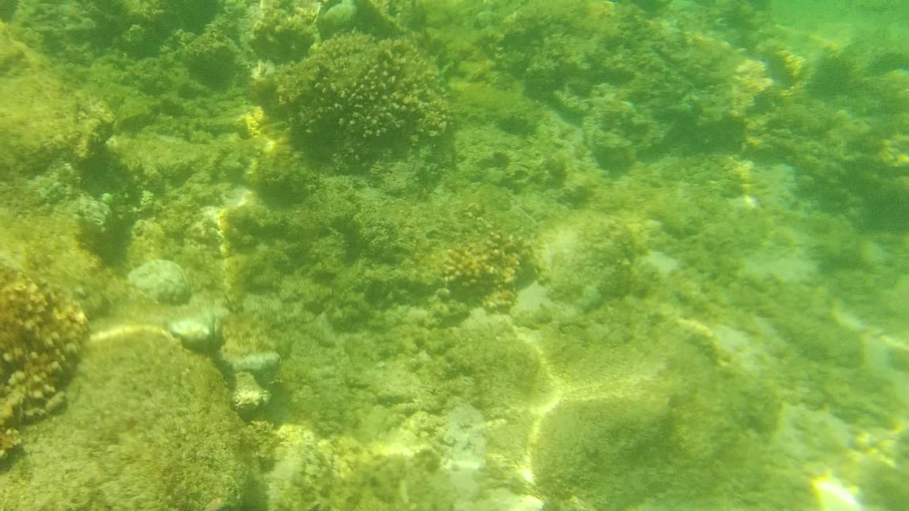 Coral formations and pale sand channels below green water
