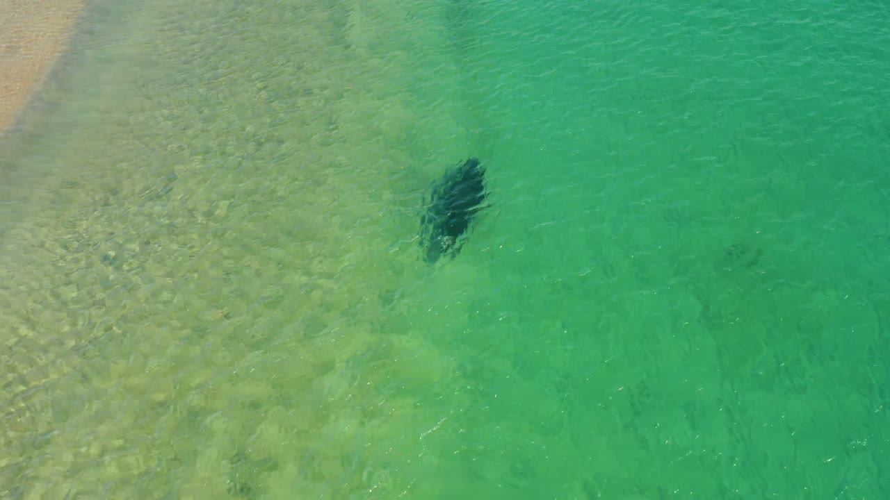 Overhead view of clear turquoise water at Los Frailes, Baja California Sur, with a dark submerged swimmer-like shape near the sandy shallows and no visible people.