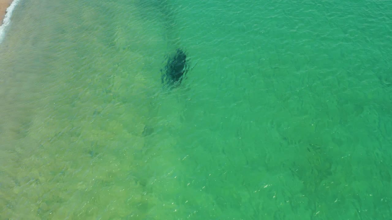 Aerial view at Los Frailes, Baja California Sur, with a thin line of white surf at the upper left, turquoise shallows, and a dark underwater swimmer-like form with no visible people.