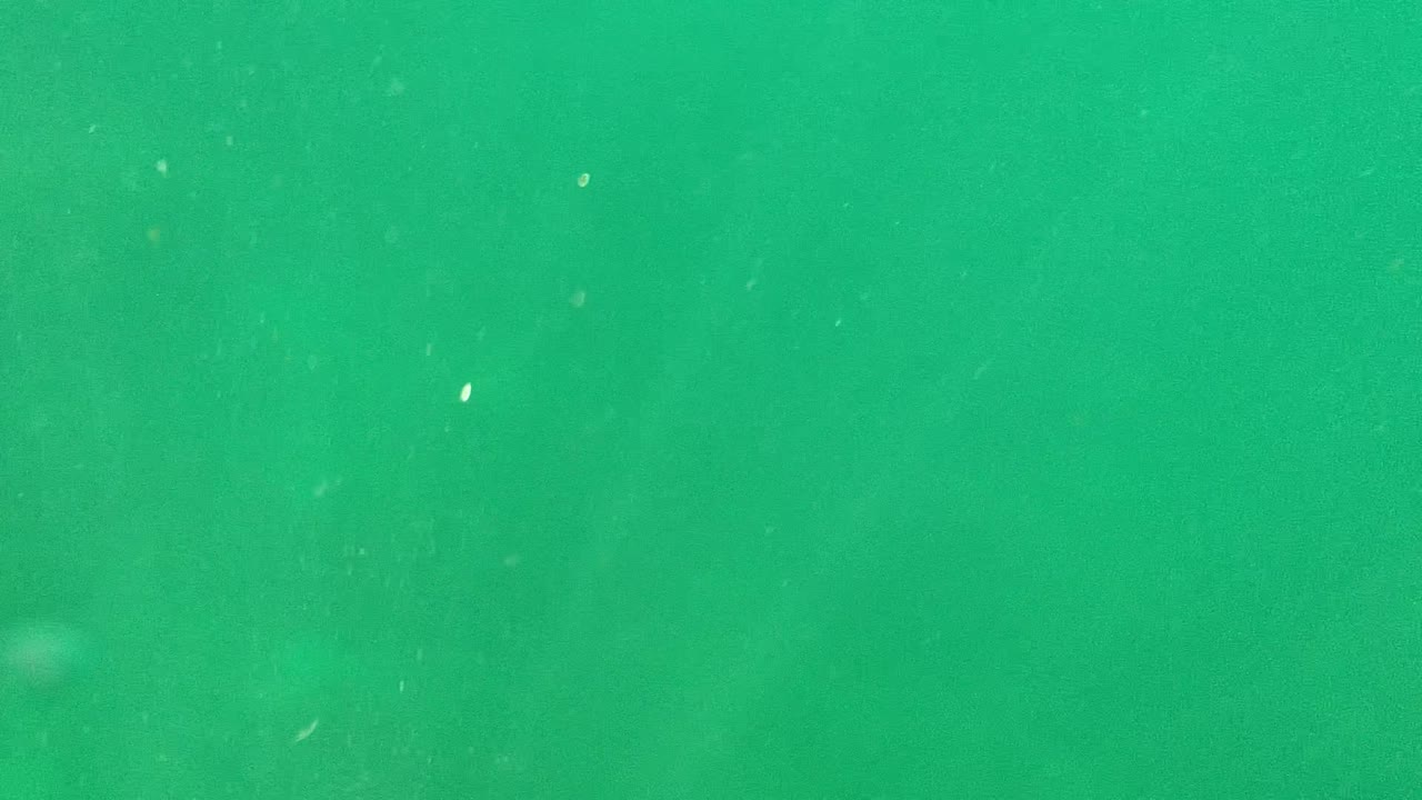 Green underwater view in Cabo Pulmo with suspended particles across the frame and no visible people.