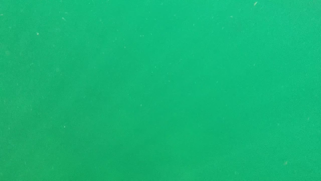 Murky green underwater view in Cabo Pulmo with faint distant forms, suspended particles, and no visible people.