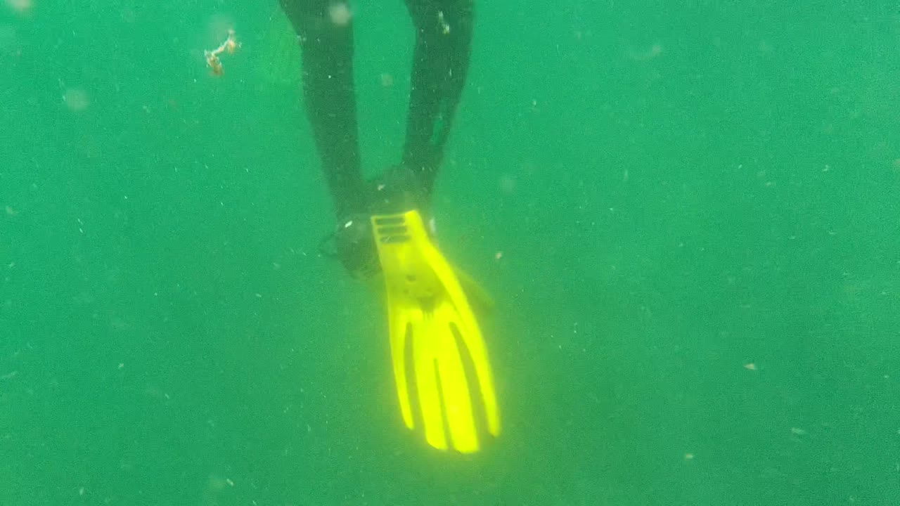 At 0:02 in Cabo Pulmo, the frame holds on a cropped swimmer in a dark wetsuit with a yellow flipper near the upper right against murky green water.