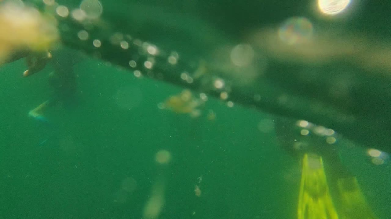 Underwater view with green turquoise water, bubbles, and yellow fins blurred near the surface.