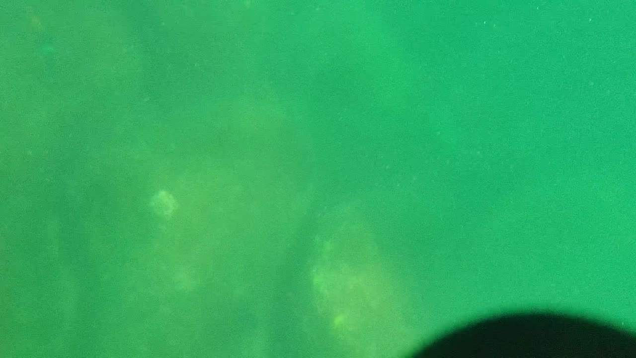 Underwater boulders in green water