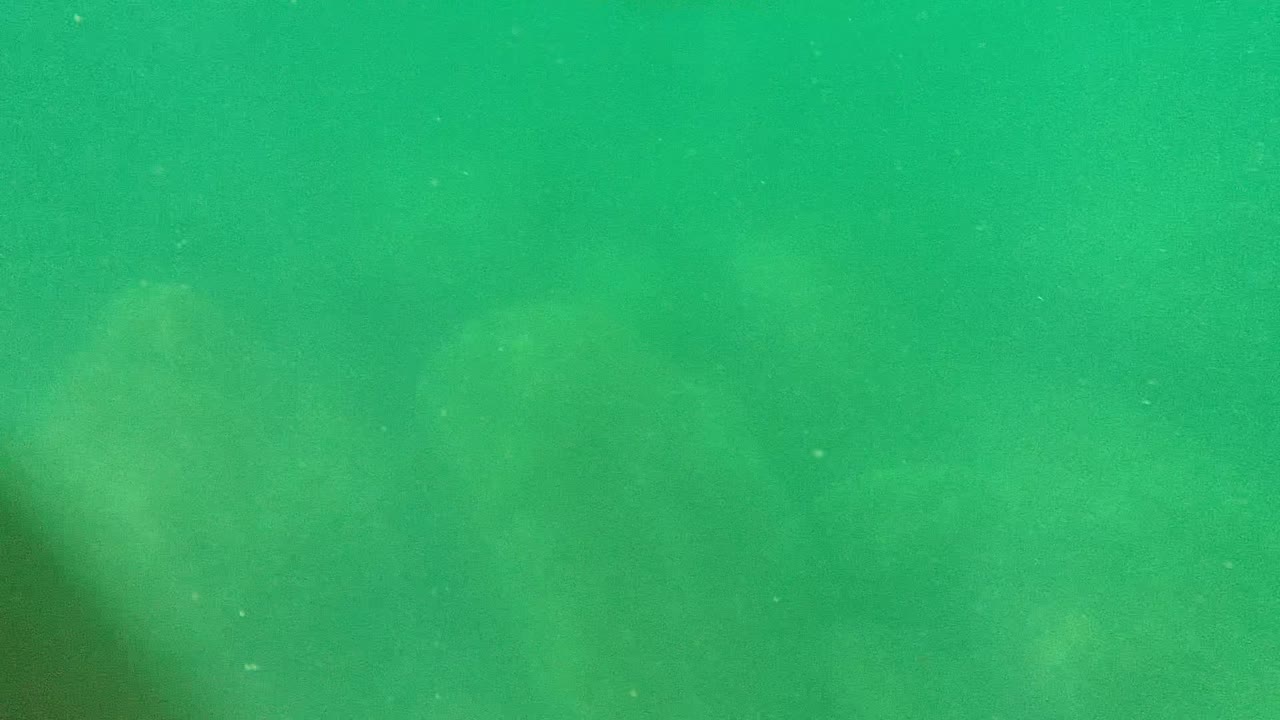 Cabo Pulmo underwater rocks sit behind green water while a dark curved shape crosses the lower edge, with no visible people.