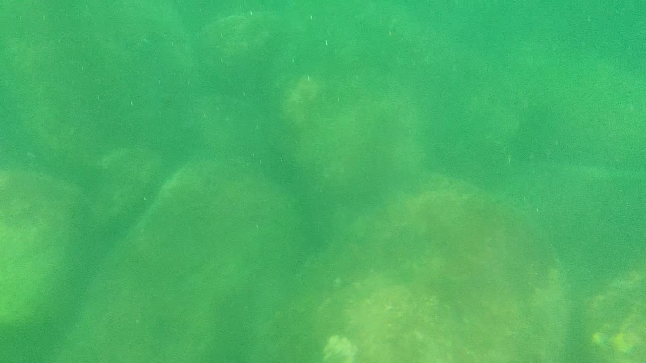 Opening underwater frame from Cabo Pulmo, Baja California Sur, showing green water over rounded submerged rocks with no visible people.