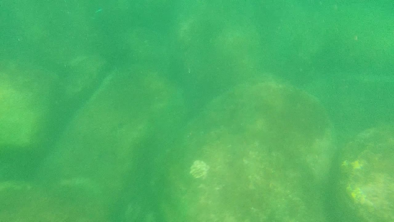 Submerged stones seen through green water haze.
