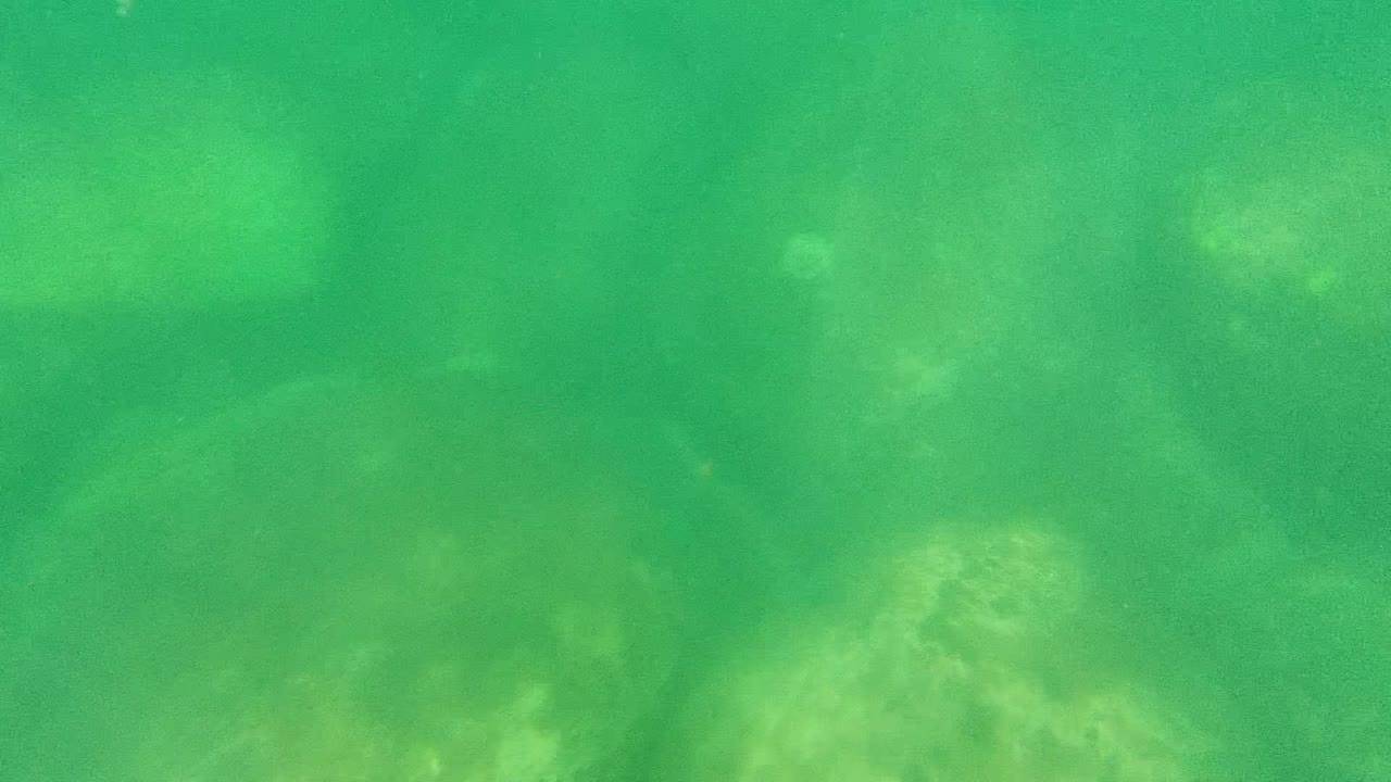 Opening underwater frame from Cabo Pulmo, Baja California Sur, Mexico, showing green water over faint algae-coated rocks with no visible people.