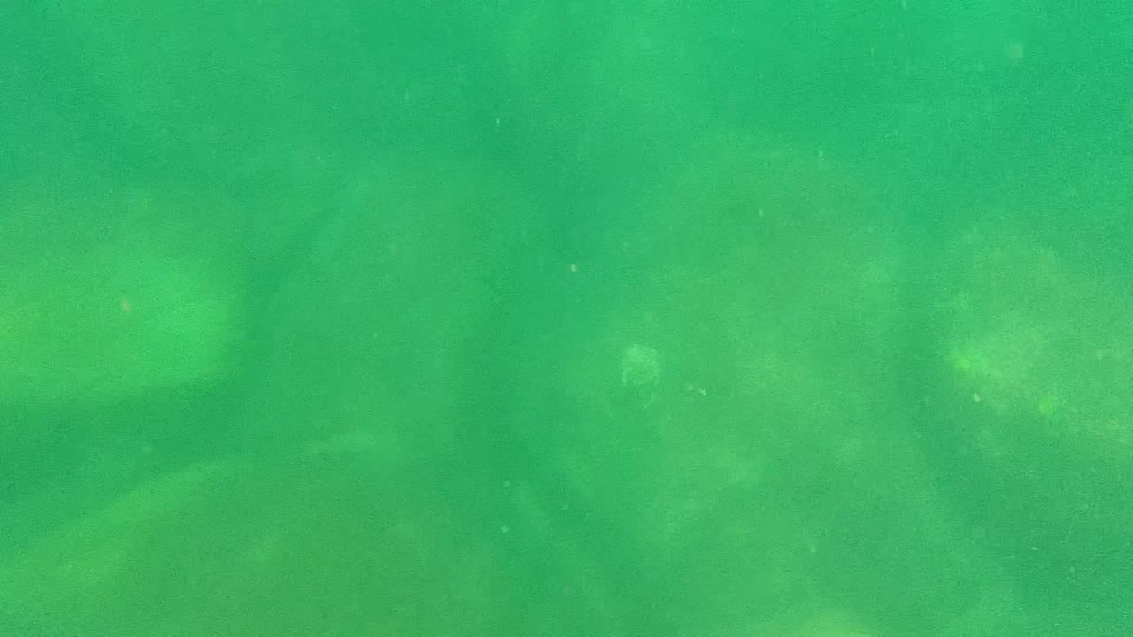 Green water over muted rocks on the underwater bed.