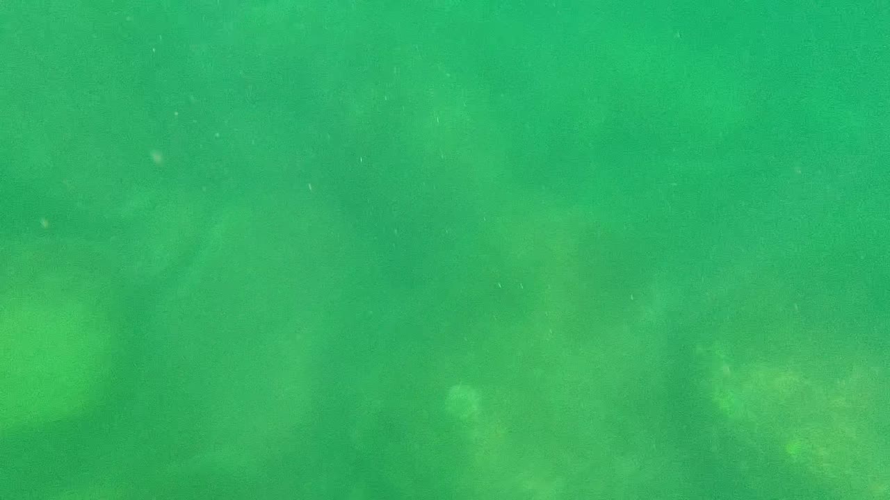 Mid-clip underwater view in Cabo Pulmo with diffuse green water, soft rocky texture below, and no visible people.