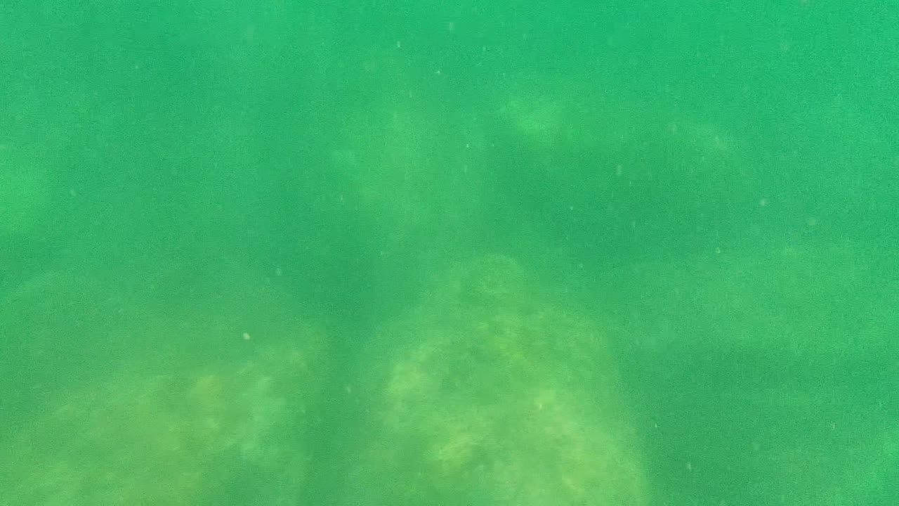 Opening frame of green-tinted water over rounded algae-covered rocks in Cabo Pulmo, Baja California Sur, Mexico, with no visible people.
