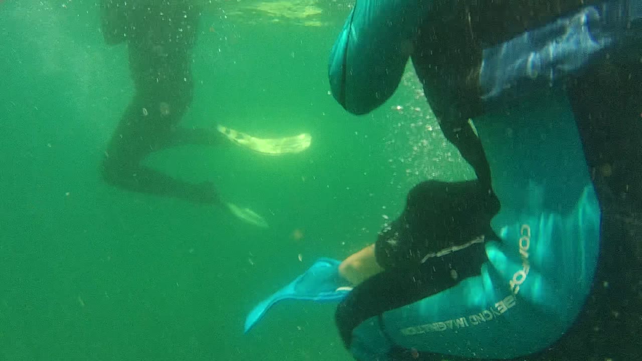 Underwater scuba diver torso with bubbles and distant fins
