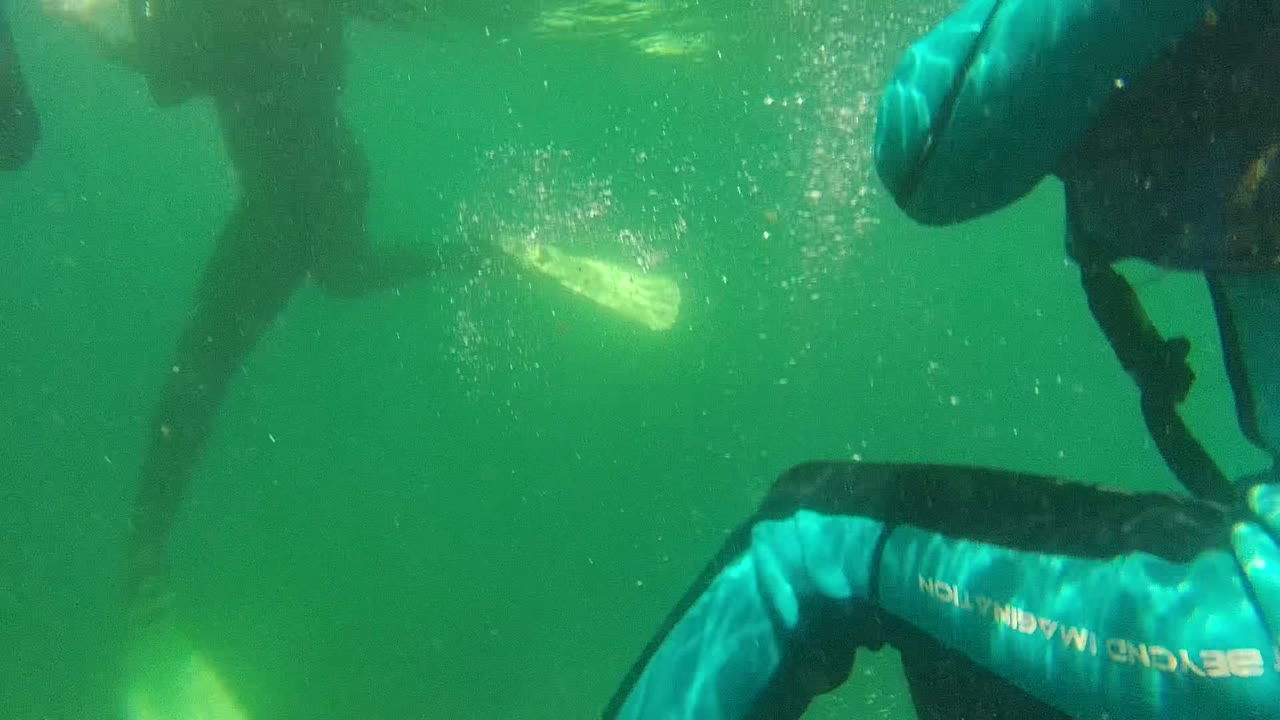 At 0:02 in Cabo Pulmo, Baja California Sur, the frame holds a tight underwater view of divers along the top and right edges, with bubbles and suspended particles across the green water.
