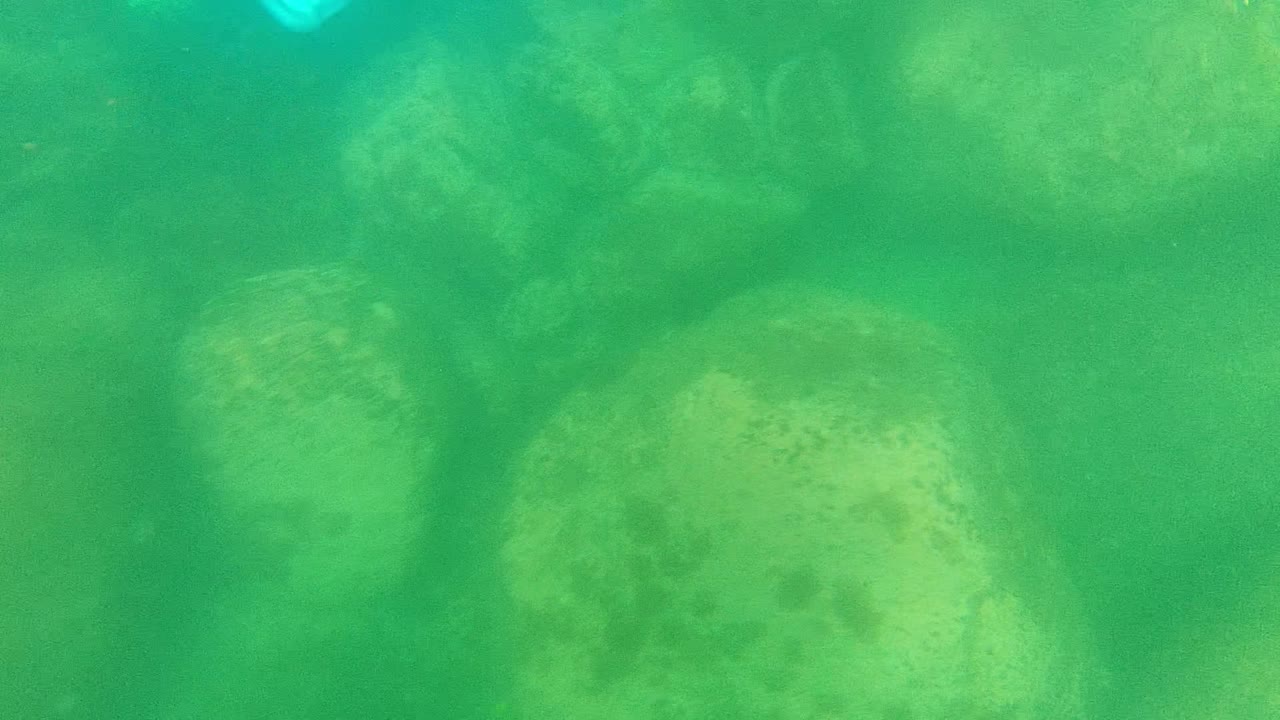 Green underwater view in Cabo Pulmo with soft rock shapes below and a bright blue plastic bag drifting near the top, with no clear faces visible.