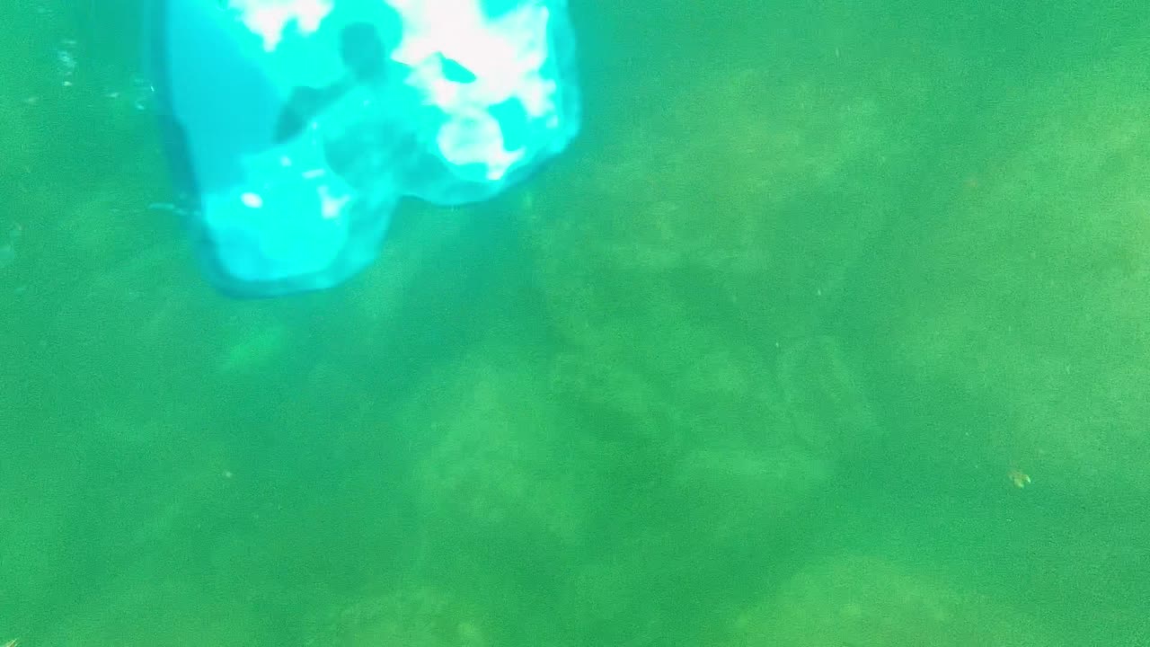 Bright blue plastic bag floating in green water above blurred rock shapes.