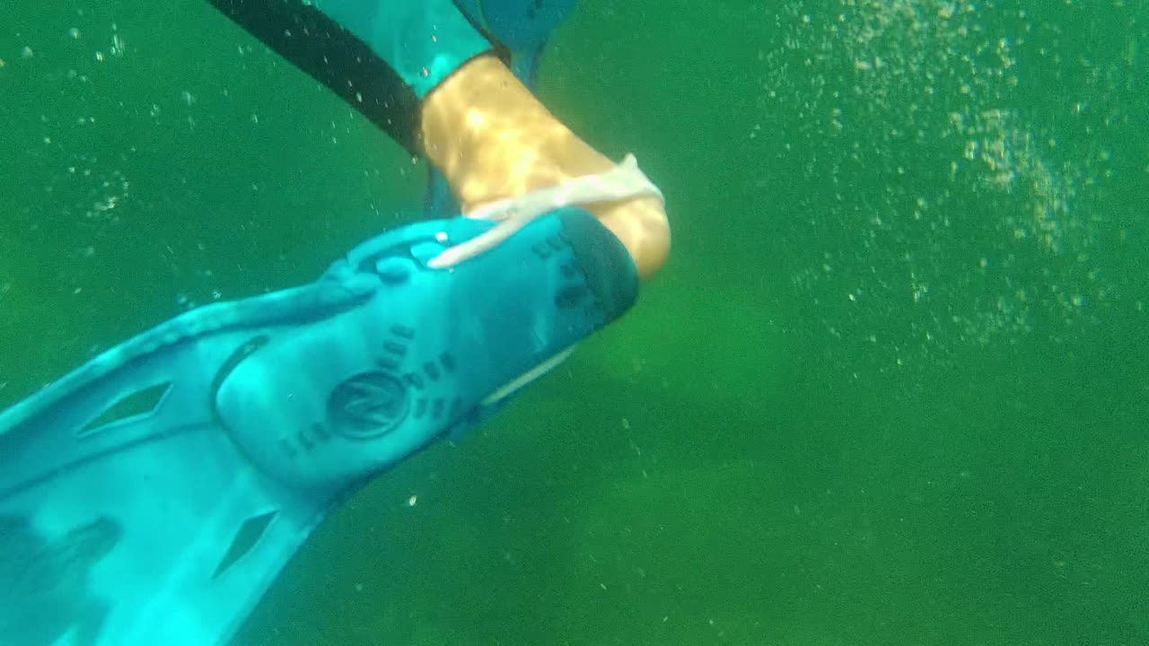 A snorkeler's blue fin and partial lower leg pass close to the camera in Cabo Pulmo's green underwater scene, with bubbles and no clear face visible.
