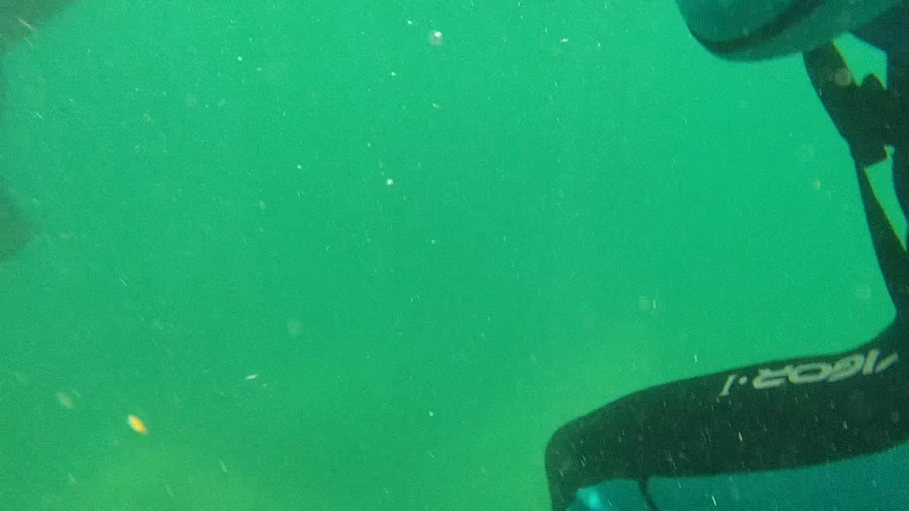 At 0:00 in Cabo Pulmo, green underwater water fills the frame with suspended particles and part of a wetsuited swimmer's lower body entering from the upper and right edges.