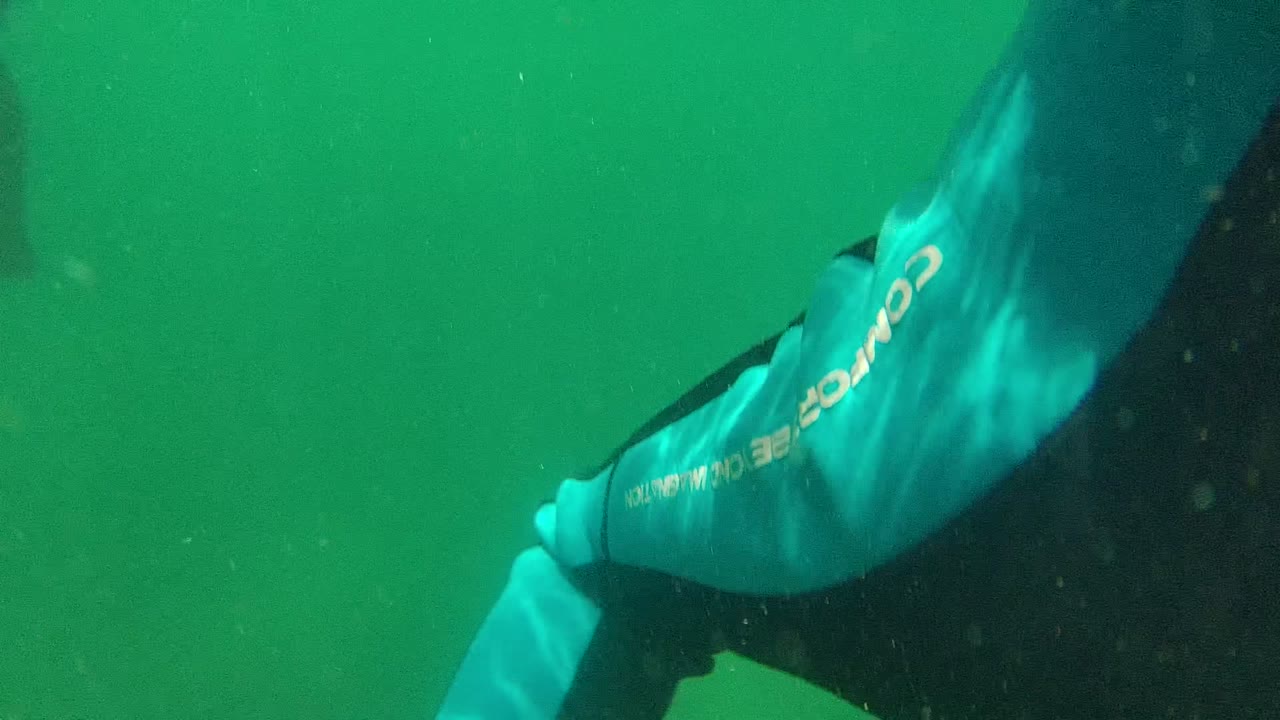 At 0:02 in Cabo Pulmo, the swimmer is cropped along the right side with a blue sleeve across a black wetsuit while the rest of the frame remains green open water.