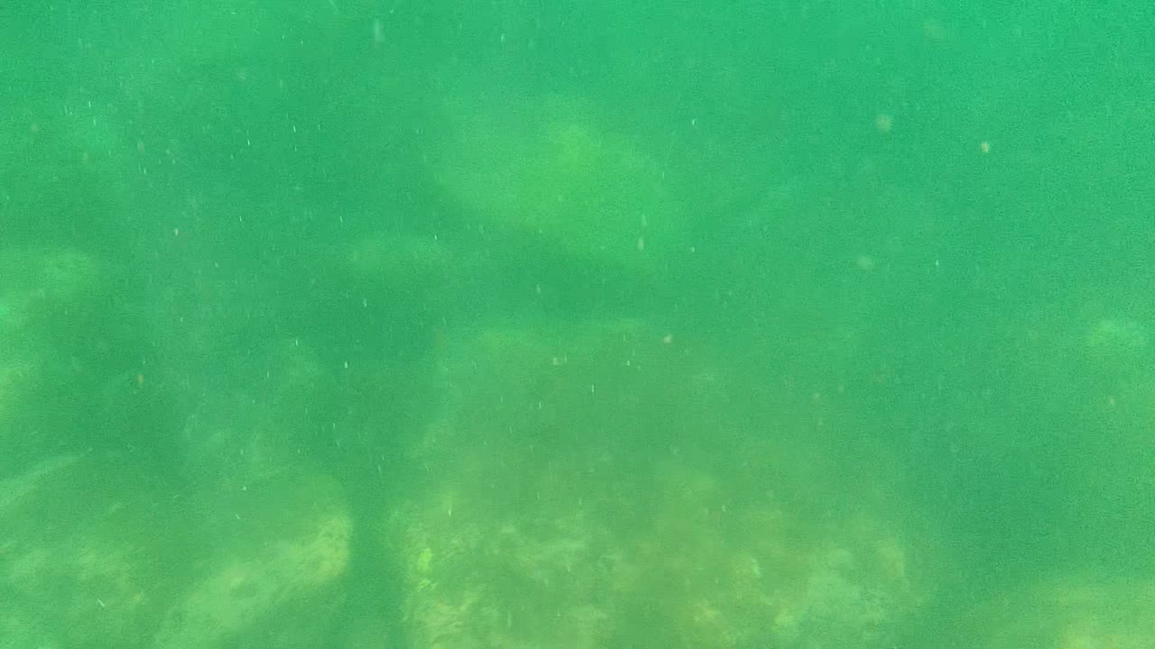 Opening underwater frame from Cabo Pulmo, Baja California Sur, showing green water over pale rounded rocks with no visible people.