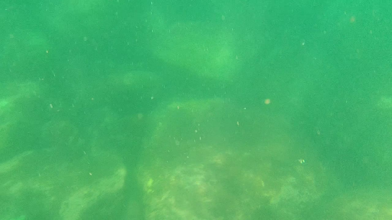 Rocky underwater bottom seen through green water.