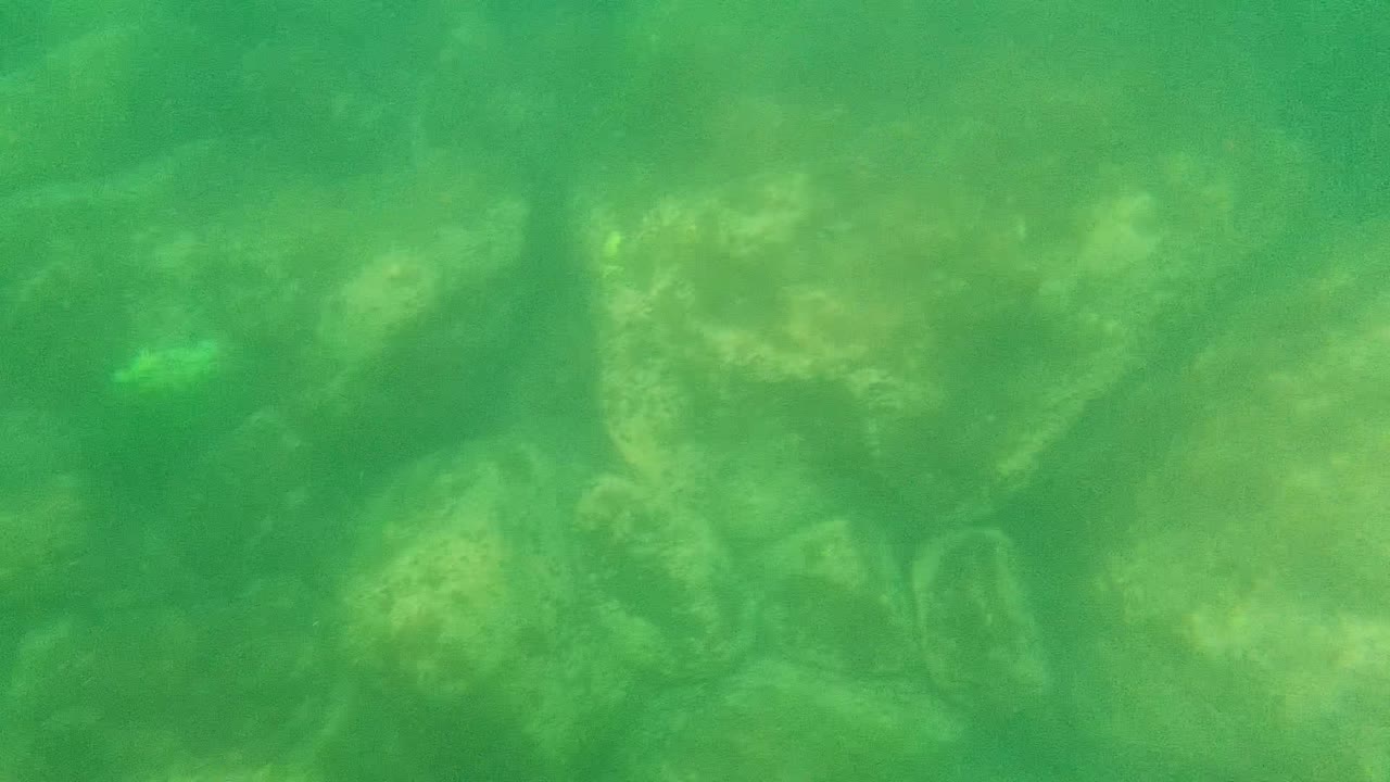 Mid-clip underwater view from Cabo Pulmo where pale foreground stones sit below darker rocks in green water, with no visible people.