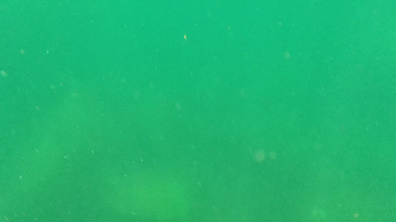 Mid-clip Cabo Pulmo underwater frame showing a hazy green water column, scattered suspended specks, faint bottom forms, and no visible people.