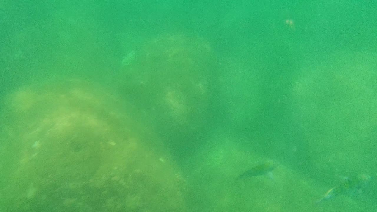 Large rocks sit in hazy green Cabo Pulmo water while faint small fish appear near the left and lower parts of the frame, with no visible people.