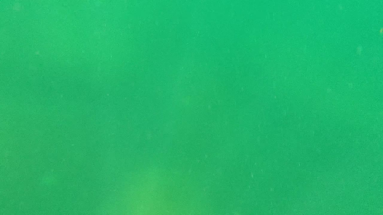 Murky green underwater view in Cabo Pulmo, Baja California Sur, with suspended particles and no visible people at the start of the clip.