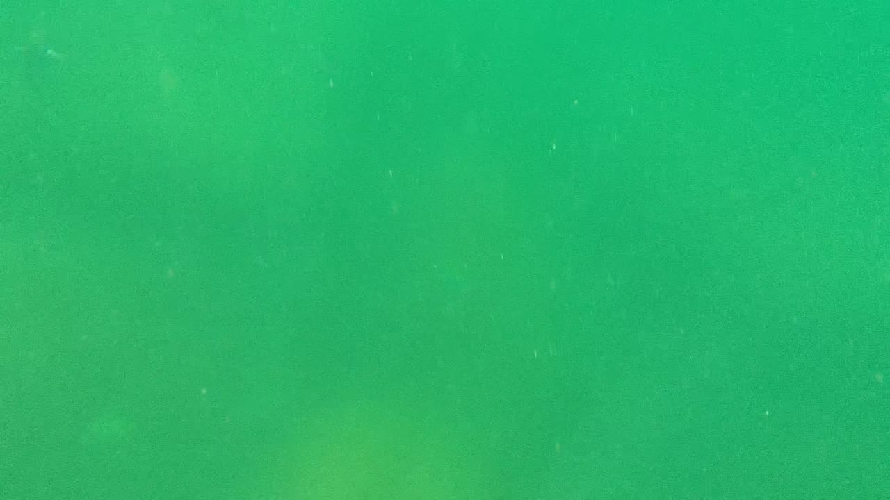 Hazy green water with faint underwater specks