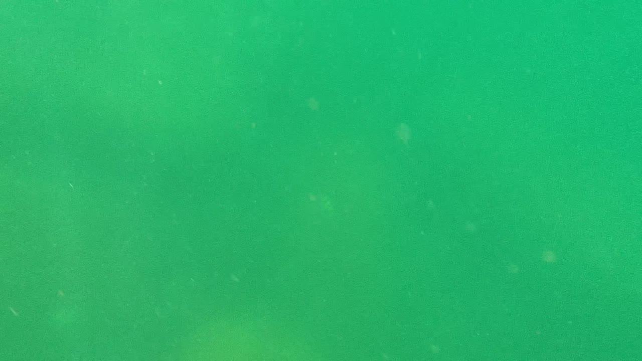 Soft green underwater view in Cabo Pulmo, Baja California Sur, with murky visibility and no visible people.