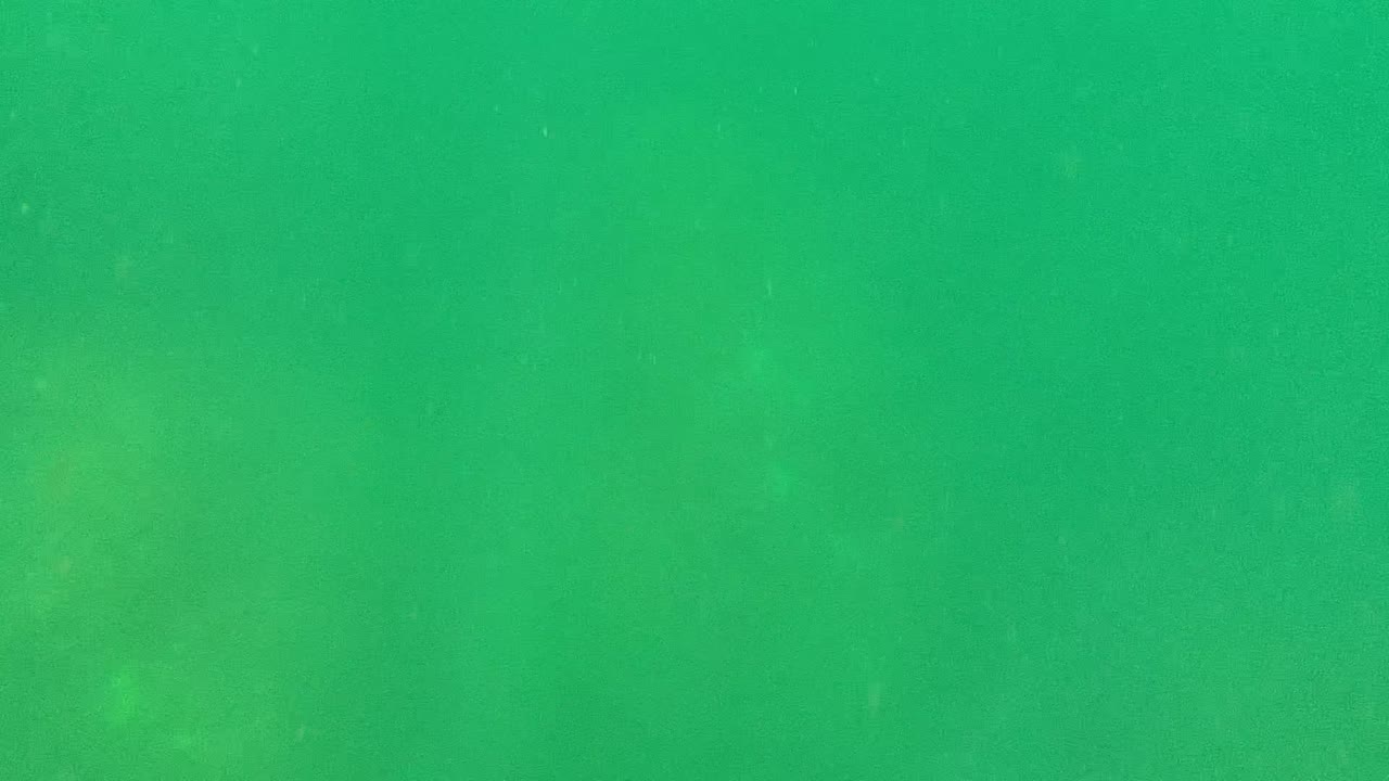 Green underwater water in Cabo Pulmo, Baja California Sur, Mexico, with faint suspended particles and no visible people at the start of the clip.