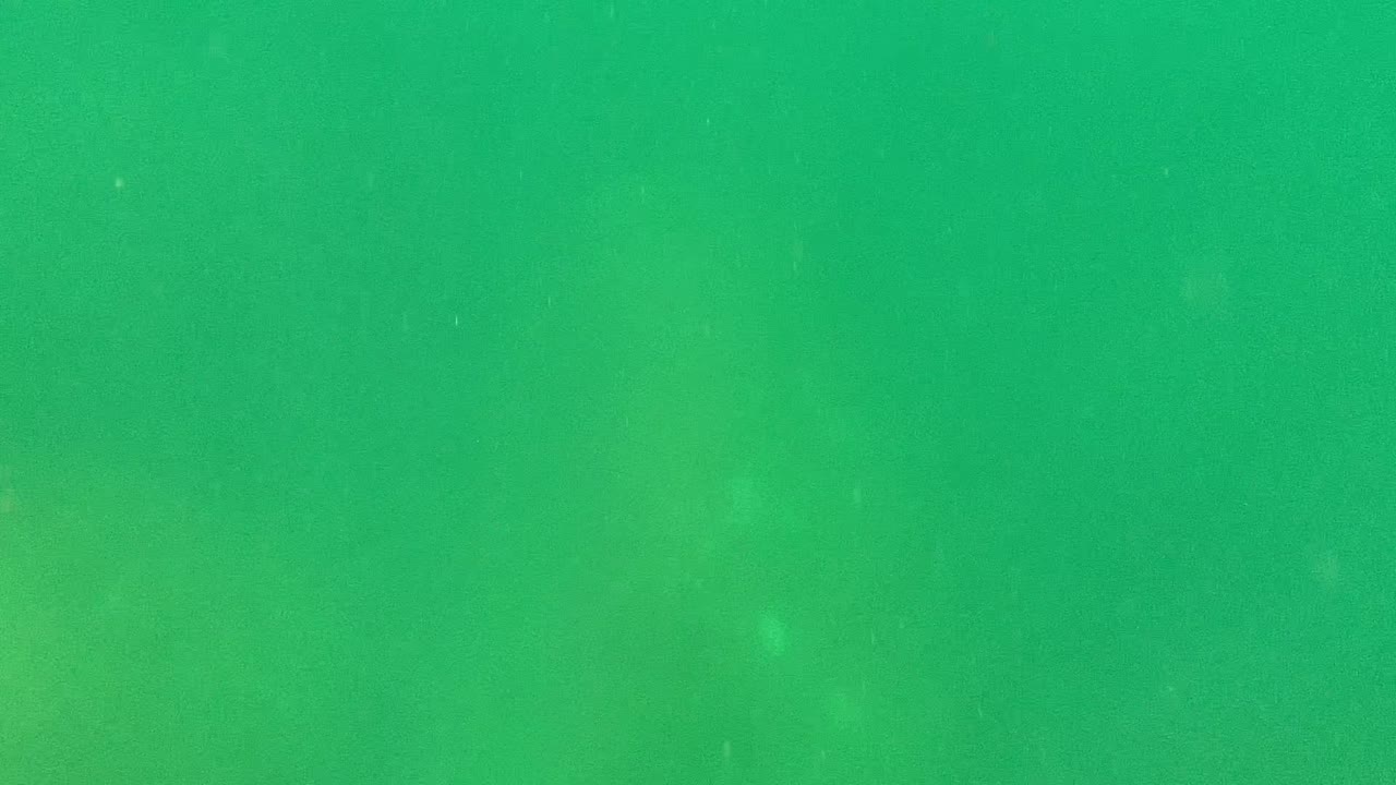 Murky green water with small floating particles.