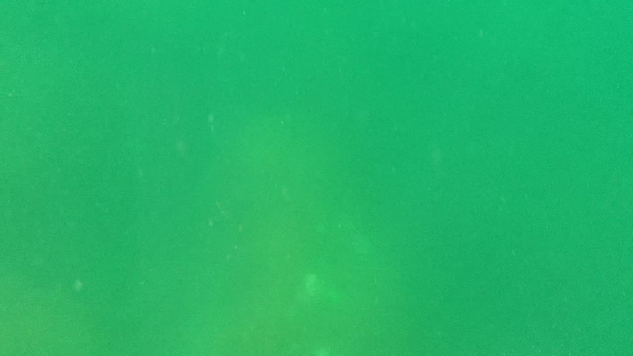 Green underwater view from Cabo Pulmo with soft haze, scattered specks in the water, and no visible people near the middle of the clip.