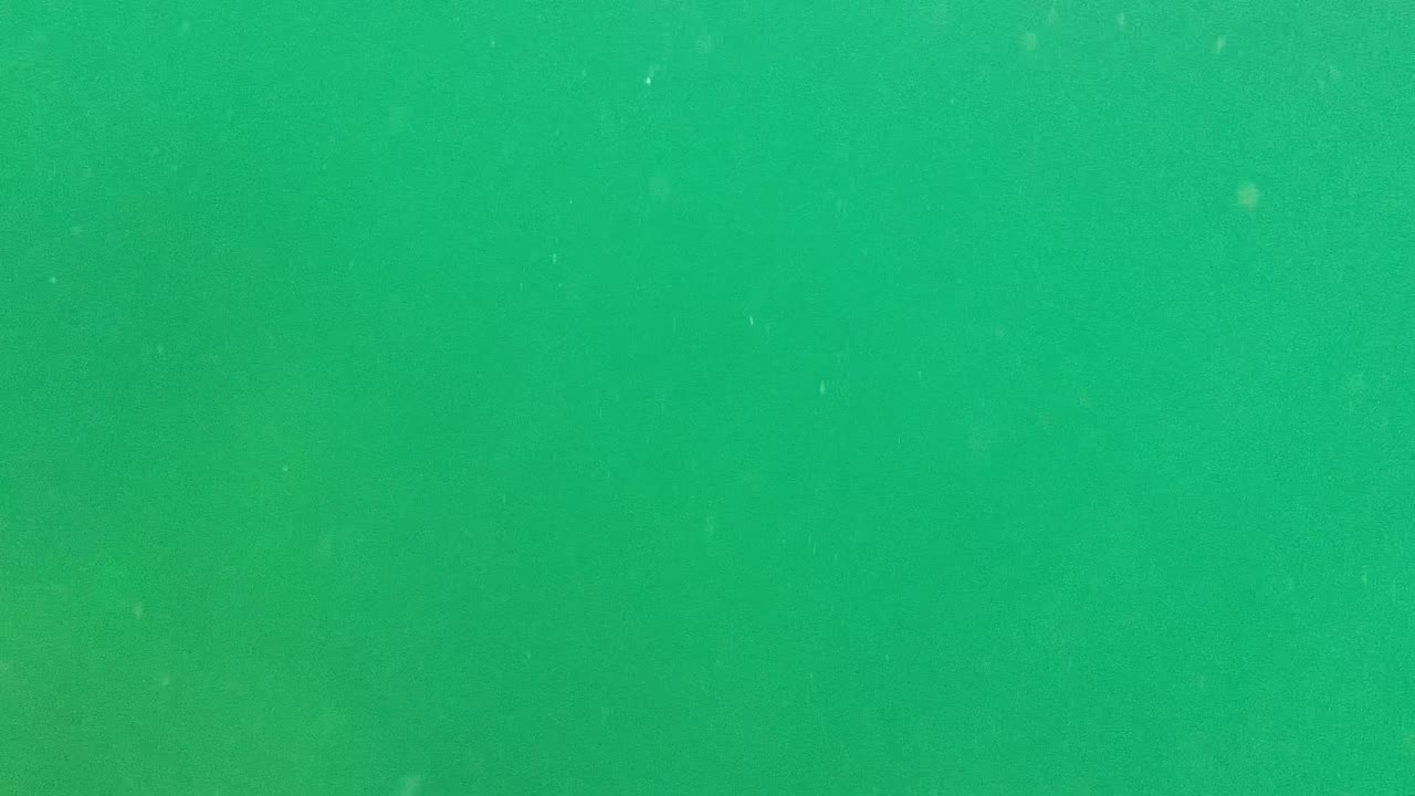 Green murky underwater water column in Cabo Pulmo, Baja California Sur, Mexico, with small suspended particles and no visible people.