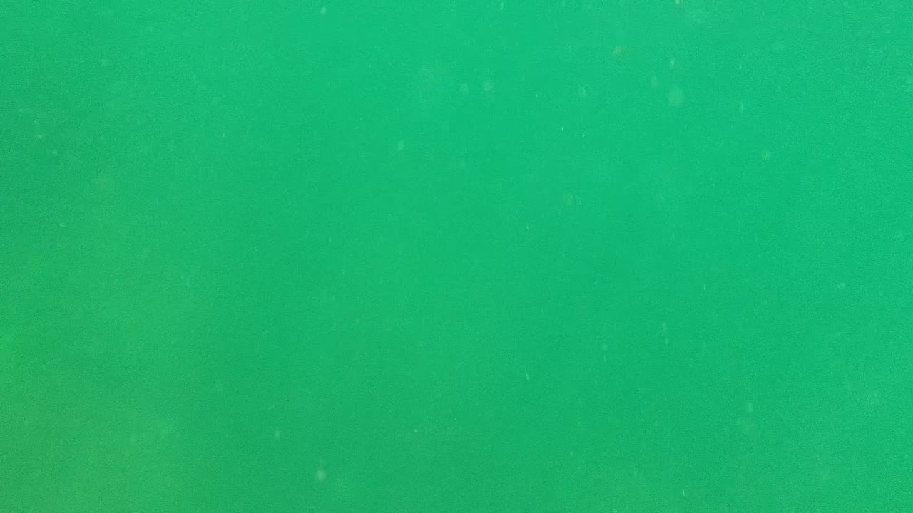 Cloudy green water with faint floating specks.