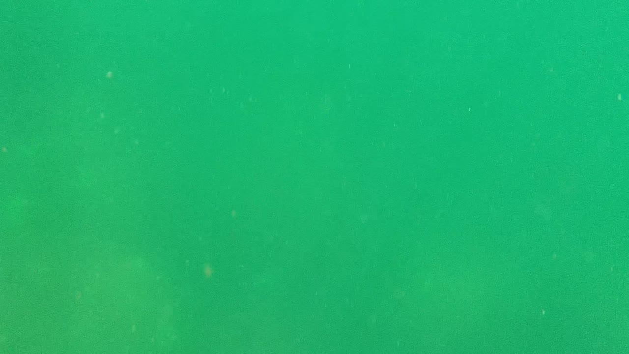 Murky underwater Cabo Pulmo view with subtle darker patches in the green water and no visible people or identifiable objects.