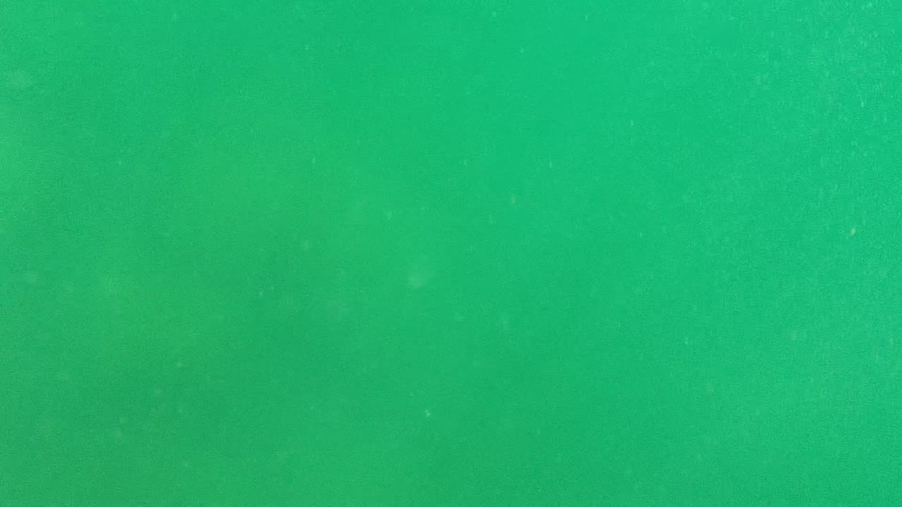 Opening frame of green underwater water in Cabo Pulmo with scattered white particles and no visible people.