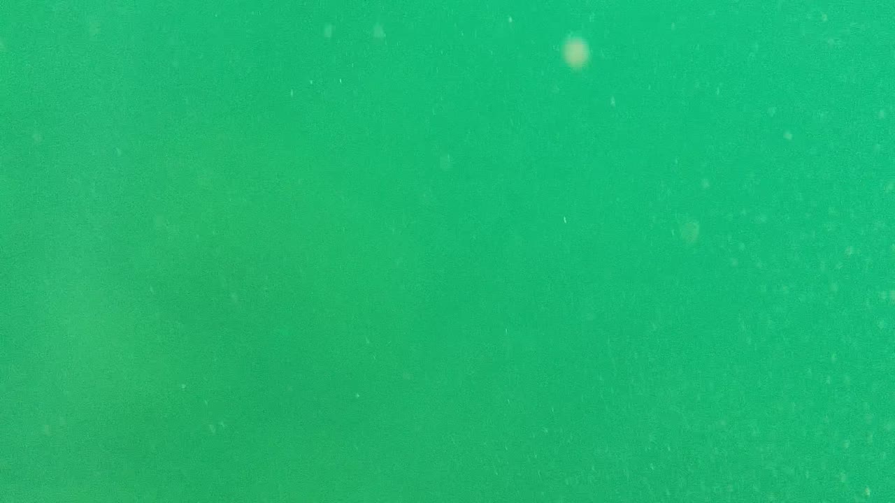 Green water with faint underwater haze and specks.
