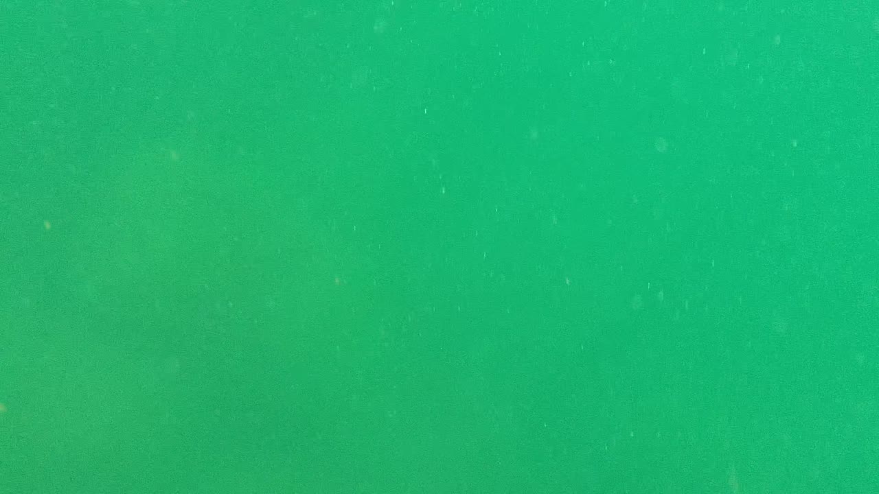 Mid-clip underwater view from Cabo Pulmo with tiny bubbles and white specks suspended in green water, no visible people.