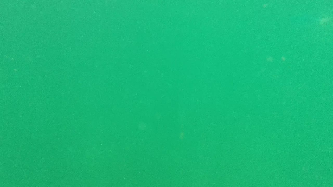 Green water with small bright specks suspended throughout.