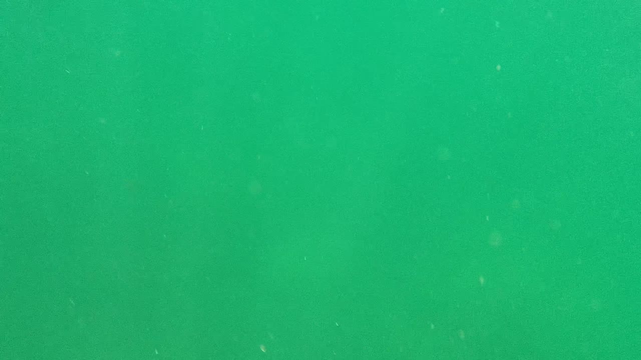 Green underwater view in Cabo Pulmo with faint clusters of white particles against an otherwise empty water field and no visible people.