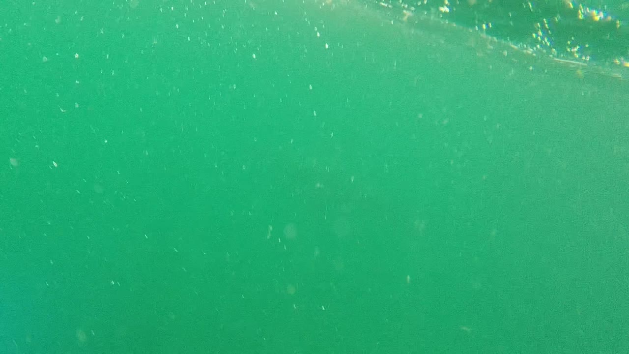 Underwater view in Cabo Pulmo, Mexico, with green-blue water, faint particles, rippled surface highlights near the top, and no visible people.