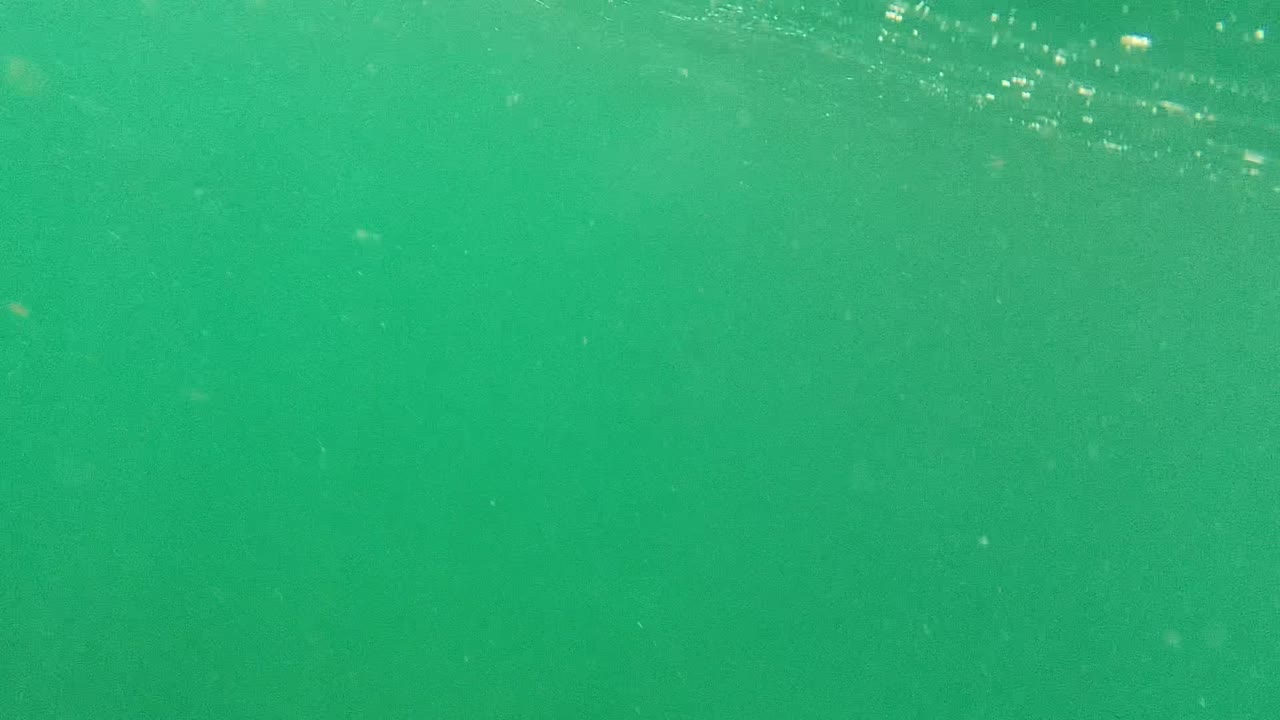 Cabo Pulmo underwater view with a smoother green-blue field, subtle surface shimmer across the top band, scattered particles, and no visible people.