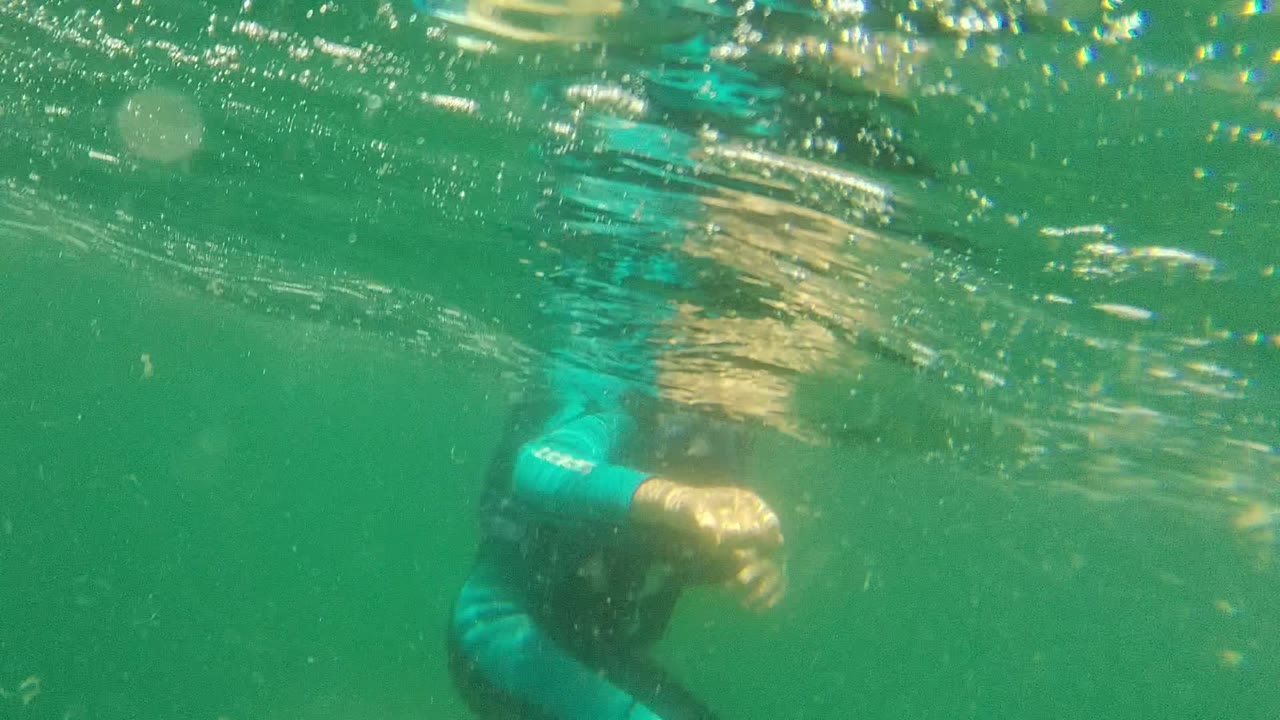 In Cabo Pulmo, Mexico, a swimmer in a dark wetsuit moves near the water surface with one arm and blue fins partly visible in green-blue water.
