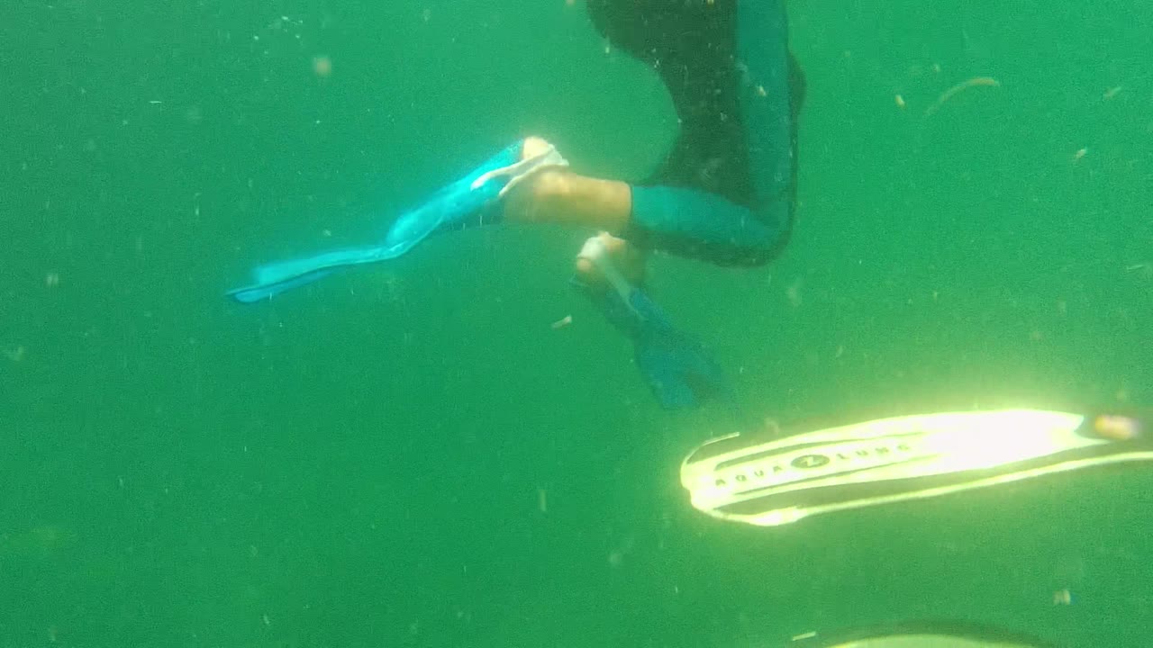 Swimmer gliding underwater with a bright blue fin extended behind them.